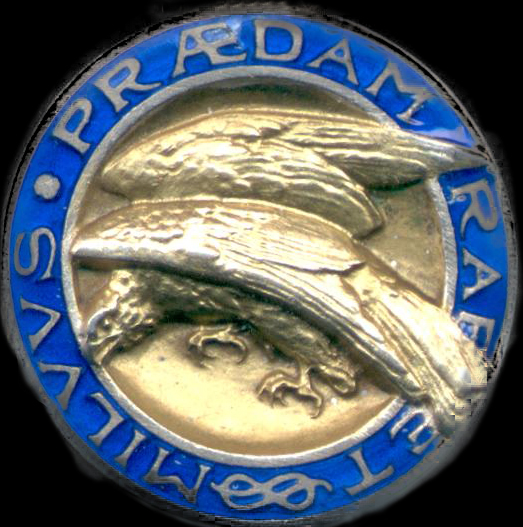 NIBBIO (3) - MEDAGLIA RICORDO