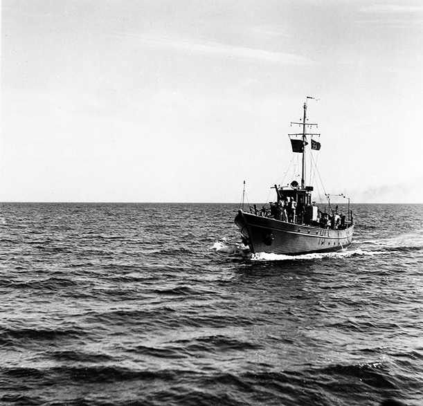 AS 20