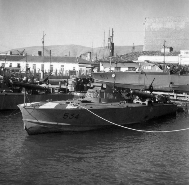 MAS 534