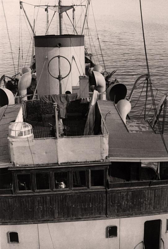 CAPITANO A. CECCHI