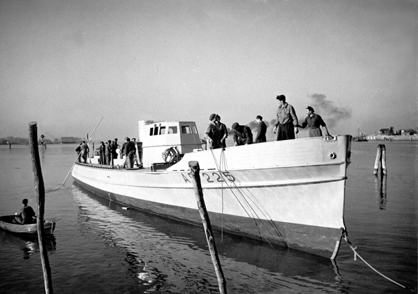 VAS 225