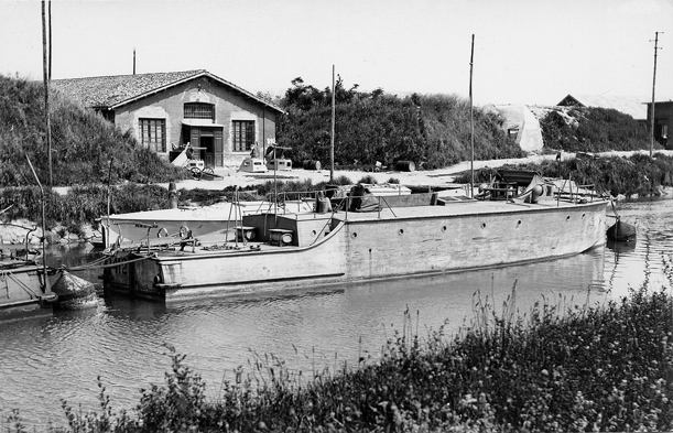 MAS 412