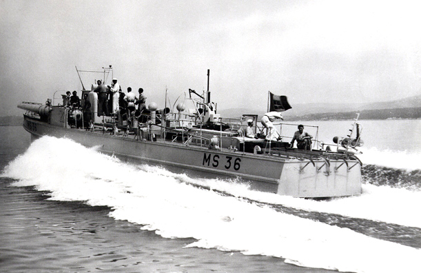 MS 36