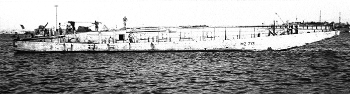 MZ 713