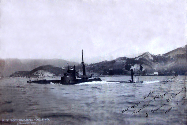 DELFINO (1°)