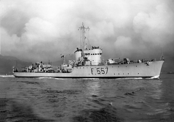 SAGITTARIO (3)