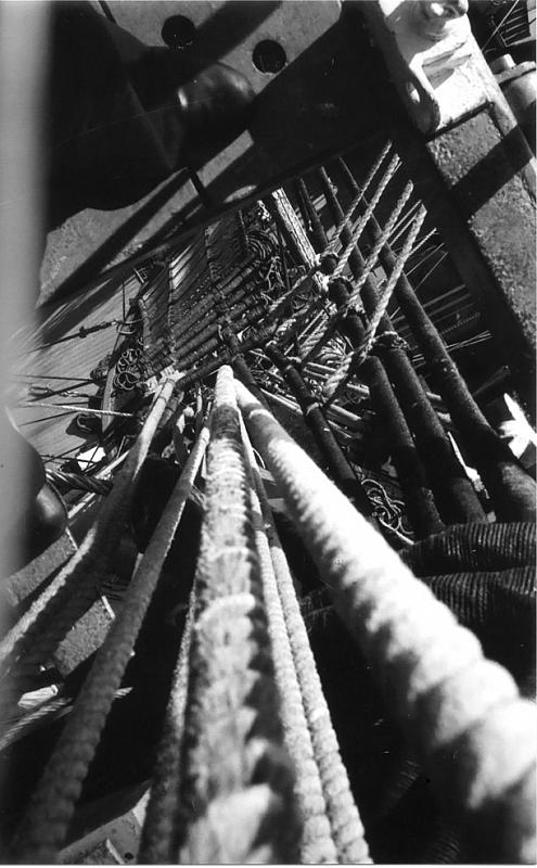 AMERIGO VESPUCCI (2)