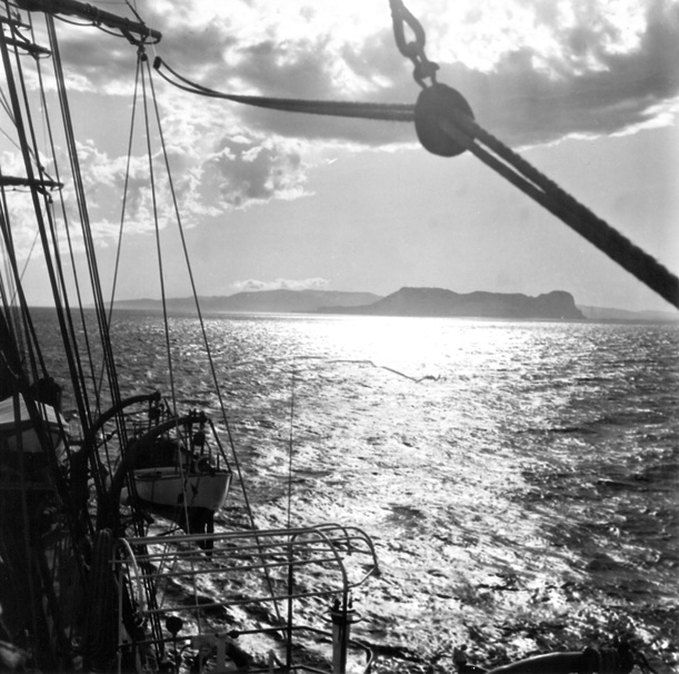 AMERIGO VESPUCCI  (2)