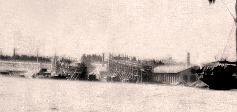 AMERIGO VESPUCCI (1)