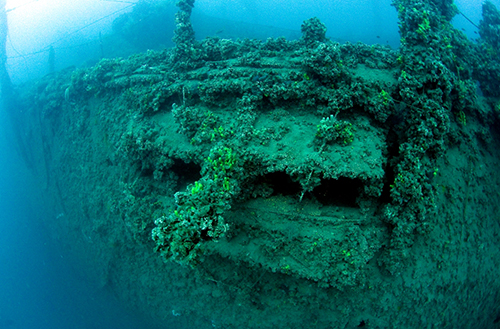 SMS ZENTA
