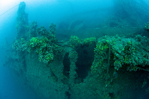 SMS ZENTA