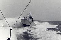 MS 441