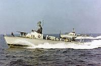 MS 443