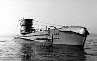 SAVA-802