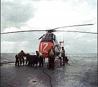 SH-34J  (4-12)