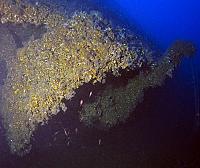 KAPITÄN DIEDERICHSEN