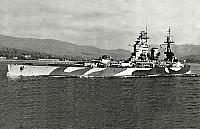 NELSON
