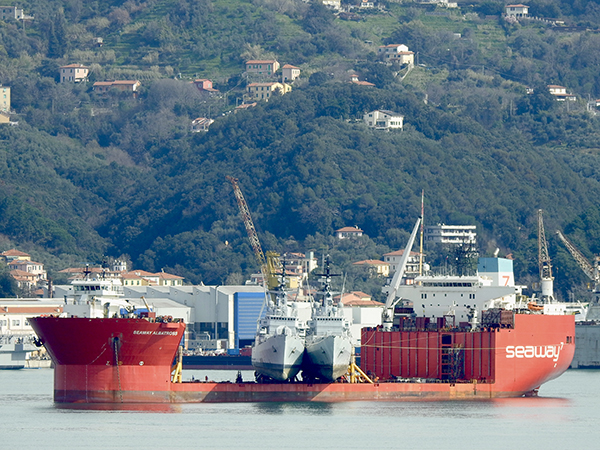 SEAWAY ALBATROS