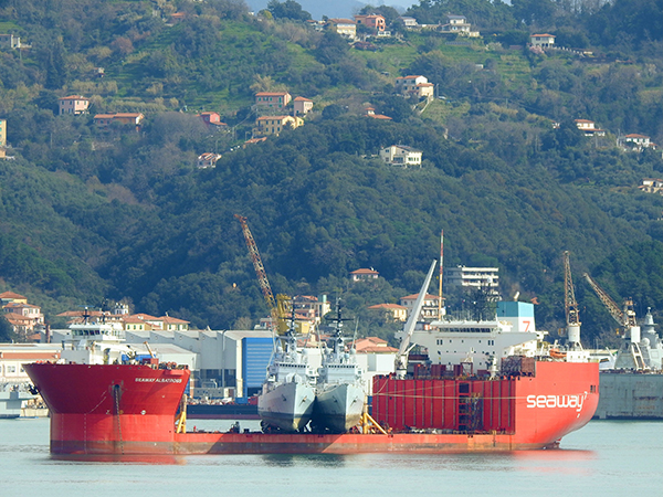 SEAWAY ALBATROS