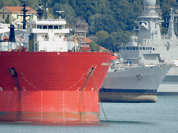SEAWAY ALBATROS