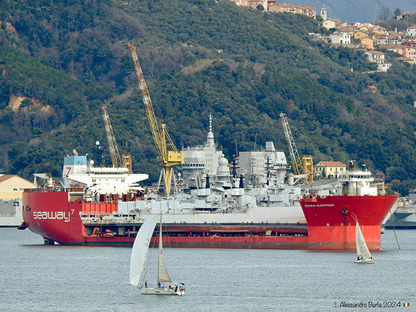 SEAWAY ALBATROS