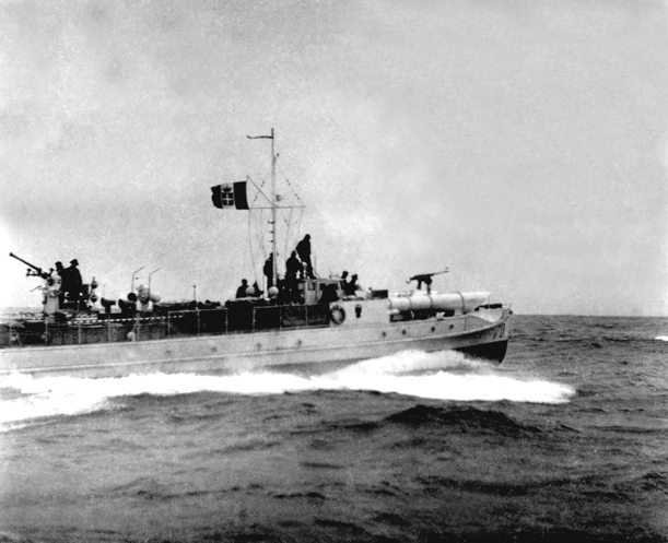 MS 7D