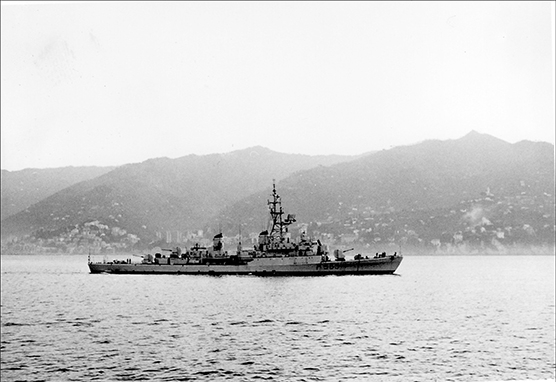 CIGNO (4)