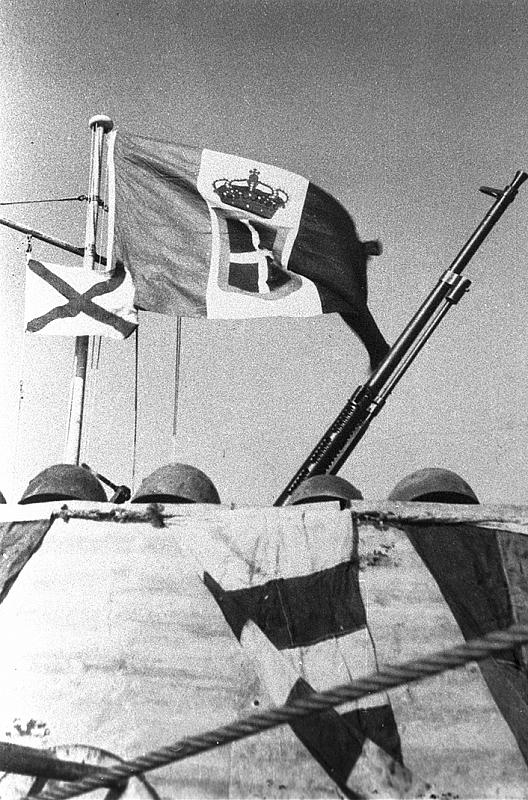 MZ 713