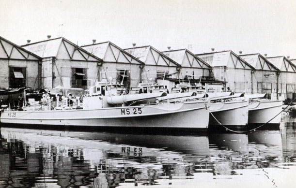 MS 25