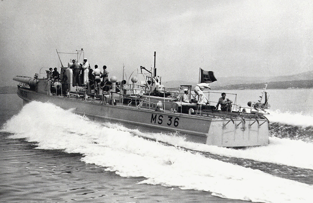 MS 36