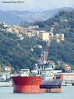 SEAWAY ALBATROS