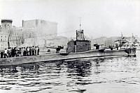 VENIERO