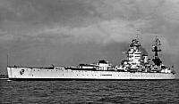 NELSON